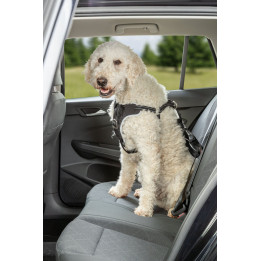 Car Harness Comfort