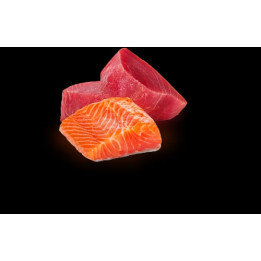 N&D Natural Tuna & Salmon