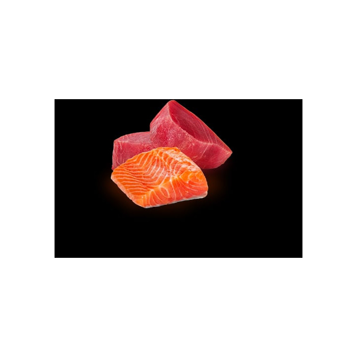 N&D Natural Tuna & Salmon