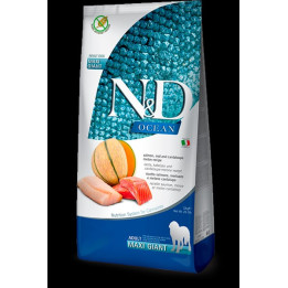 Salmon, Cod & Cantalupe Melon Adult Maxi Giant