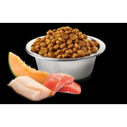 Salmon, Cod & Cantalupe Melon Adult Maxi Giant