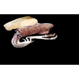 Cod and Squid adult Mini wet food