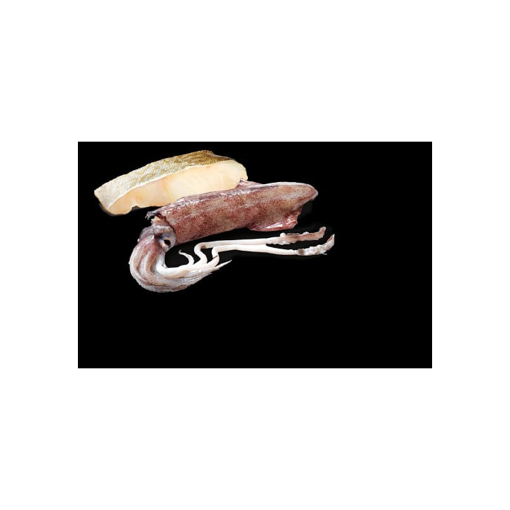 Cod and Squid adult Mini wet food
