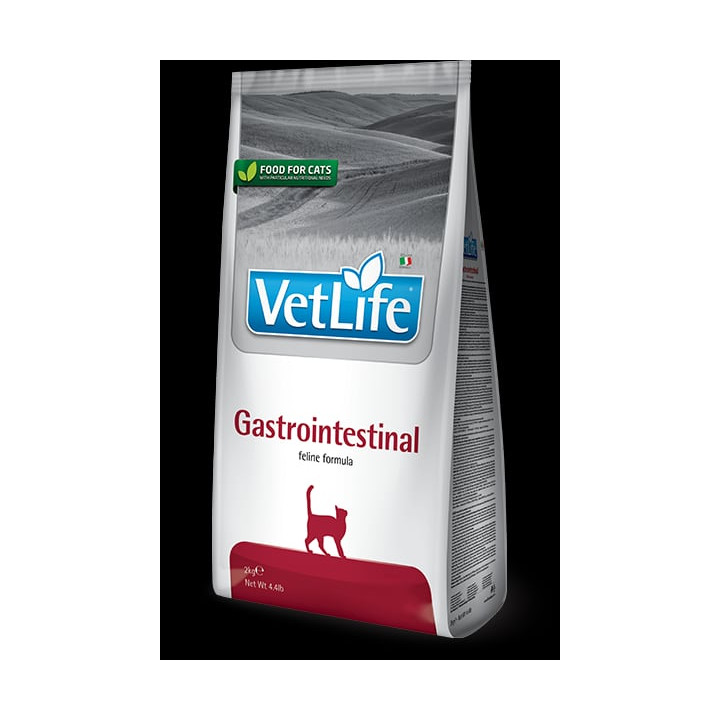Gastrointestinal kedi