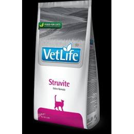 Struvite kedi