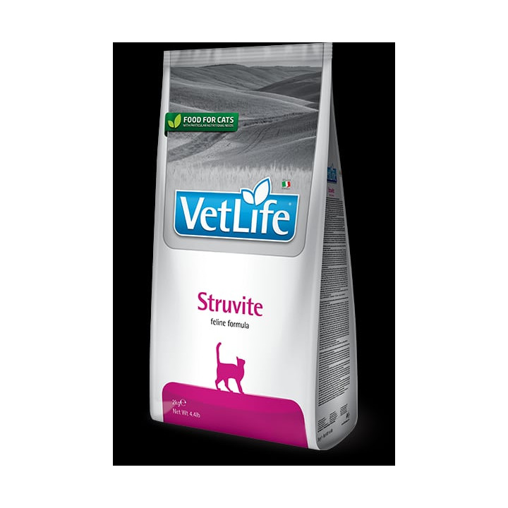 Struvite kedi
