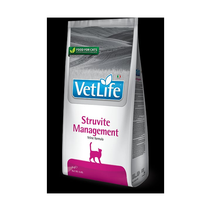 Struvite Management kedi