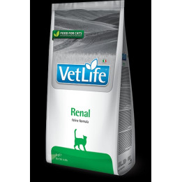 Renal kedi