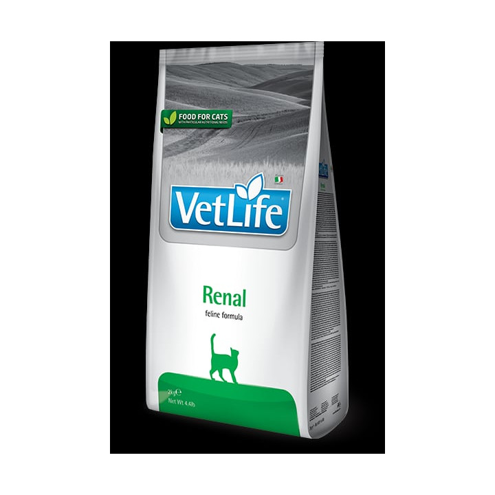 Renal kedi