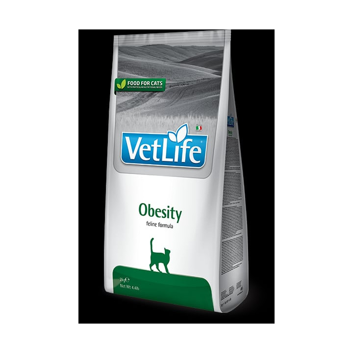 Obesity kedi