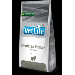 Neutered Female kedi