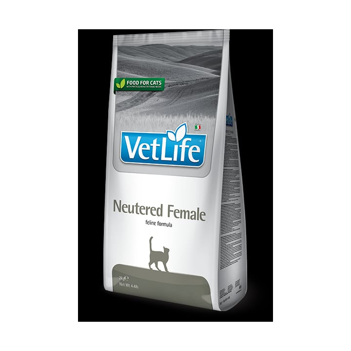Neutered Female kedi