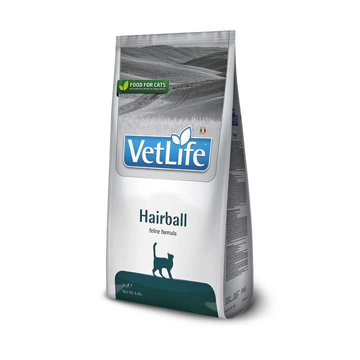 Hairball kedi