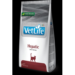 Hepatic kedi
