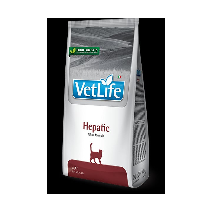 Hepatic kedi