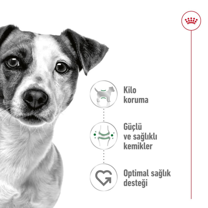 Mini Adult Yetişkin Köpek Kuru Maması 2 kg