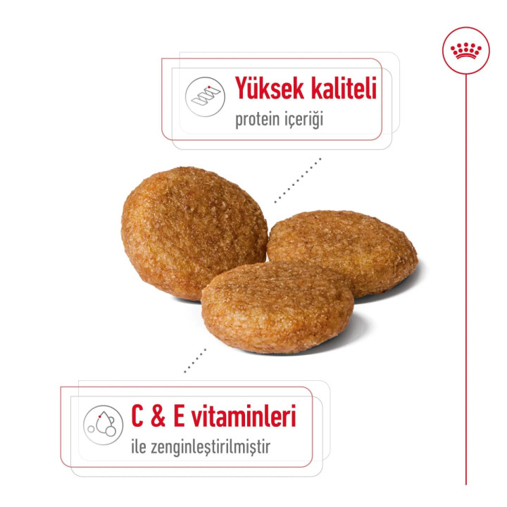 Medium Adult Yetişkin Köpek Kuru Maması 15 kg