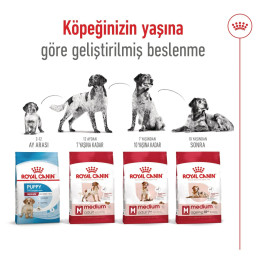 Medium Adult 7+ Yetişkin Köpek Kuru Maması 15 kg