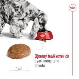Medium Adult 7+ Yetişkin Köpek Kuru Maması 15 kg