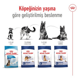 Maxi Adult 5+ Yetişkin Köpek Kuru Maması 15 kg