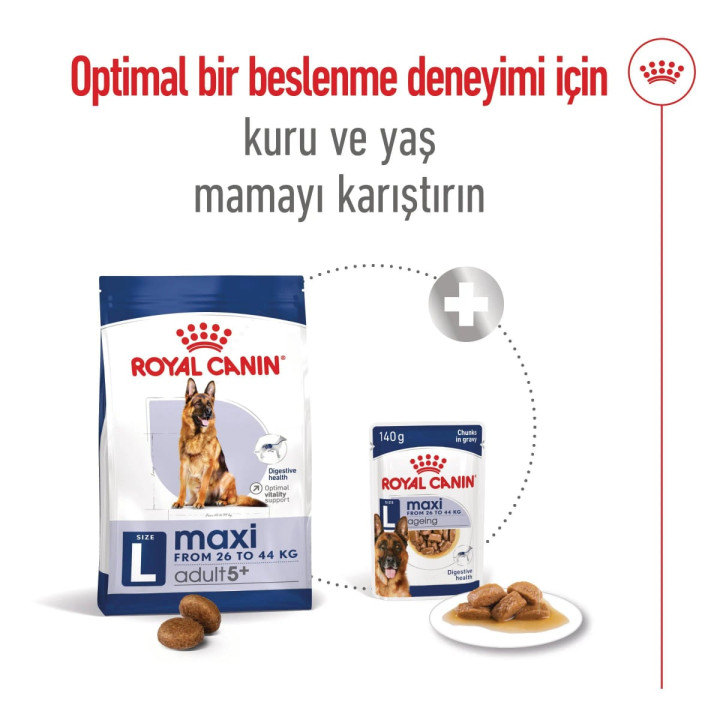 Maxi Adult 5+ Yetişkin Köpek Kuru Maması 15 kg