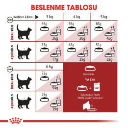Fit 32 Yetişkin Kedi Kuru Maması 400 g