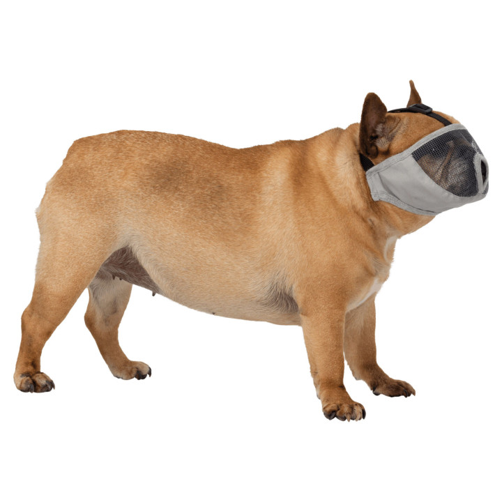 Muzzle for short-nosed breeds