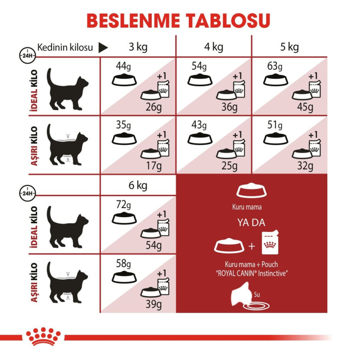 Fit 32 Yetişkin Kedi Kuru Maması 4 kg