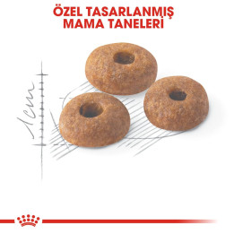Fit 32 Yetişkin Kedi Kuru Maması 10 kg