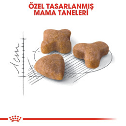 Sensible 33 Yetişkin Kedi Kuru Maması 400 g