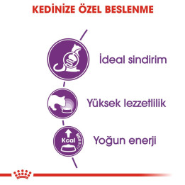 Sensible 33 Yetişkin Kedi Kuru Maması 2 kg