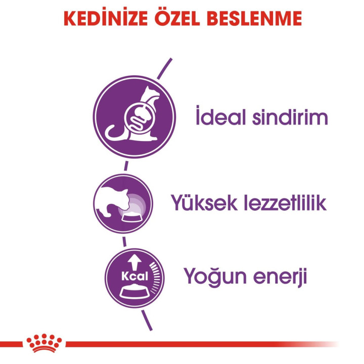 Sensible 33 Yetişkin Kedi Kuru Maması 4 kg