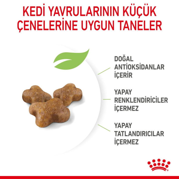 Kitten Yavru Kedi Kuru Maması 2 kg