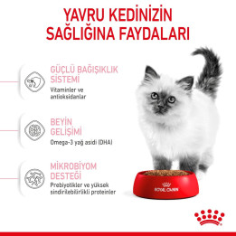 Kitten Yavru Kedi Kuru Maması 4 kg