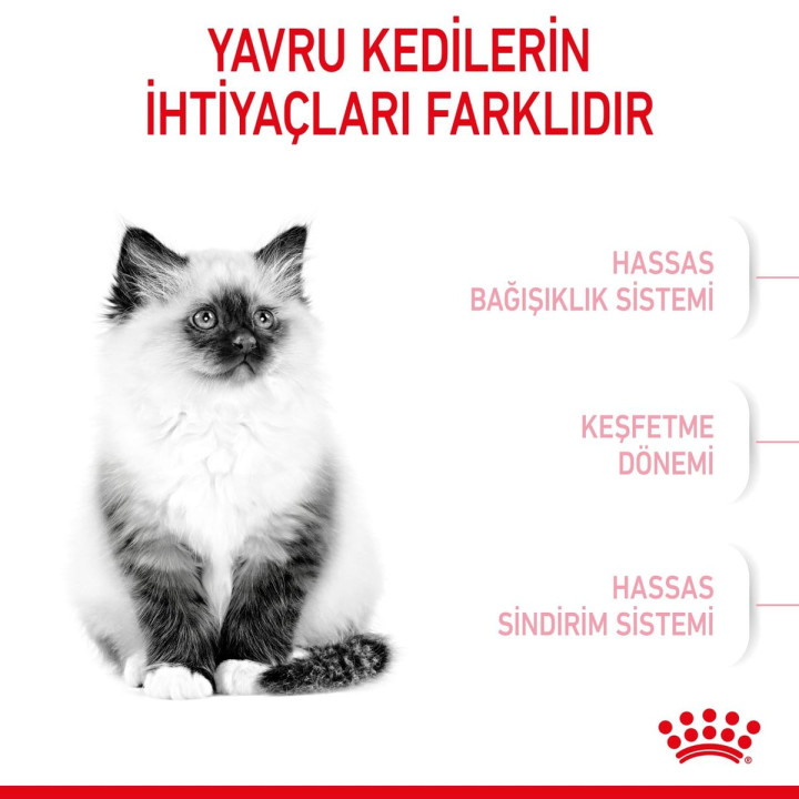 Kitten Yavru Kedi Kuru Maması 4 kg