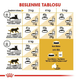 Persian Yetişkin Kedi Kuru Maması 400 g