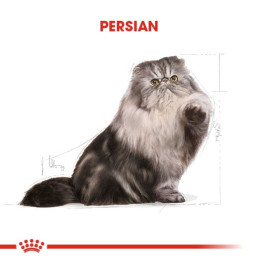 Persian Yetişkin Kedi Kuru Maması 400 g