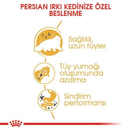 Persian Yetişkin Kedi Kuru Maması 2 kg