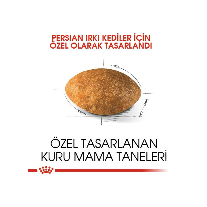 Persian Yetişkin Kedi Kuru Maması 2 kg