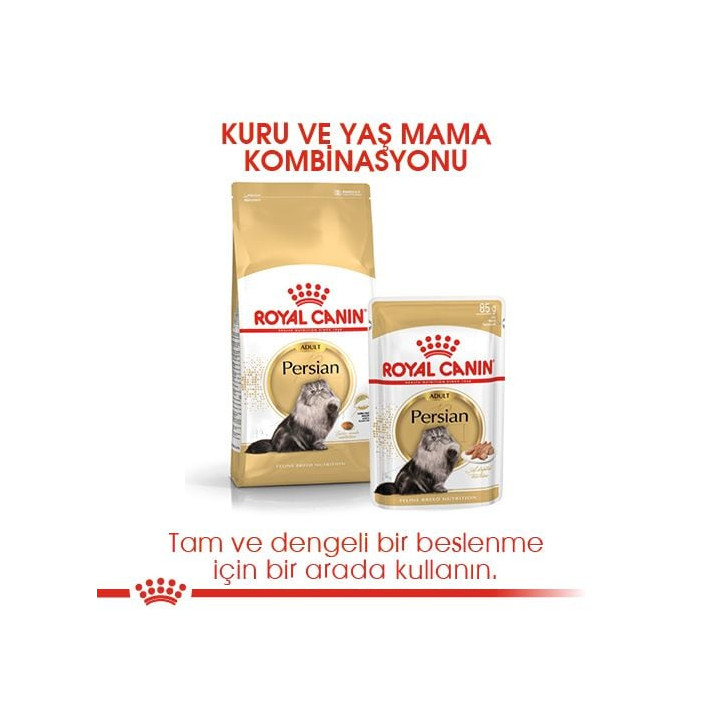 Persian Yetişkin Kedi Kuru Maması 10 kg