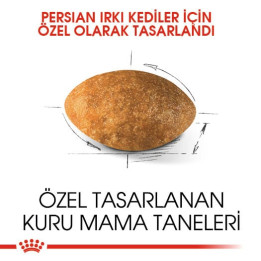 Persian Yetişkin Kedi Kuru Maması 10 kg