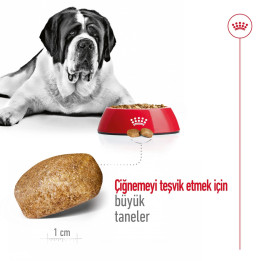 Giant Adult Yetişkin Köpek Kuru Maması 15 kg