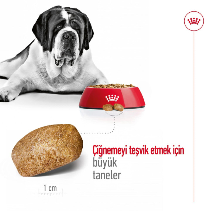 Giant Adult Yetişkin Köpek Kuru Maması 15 kg