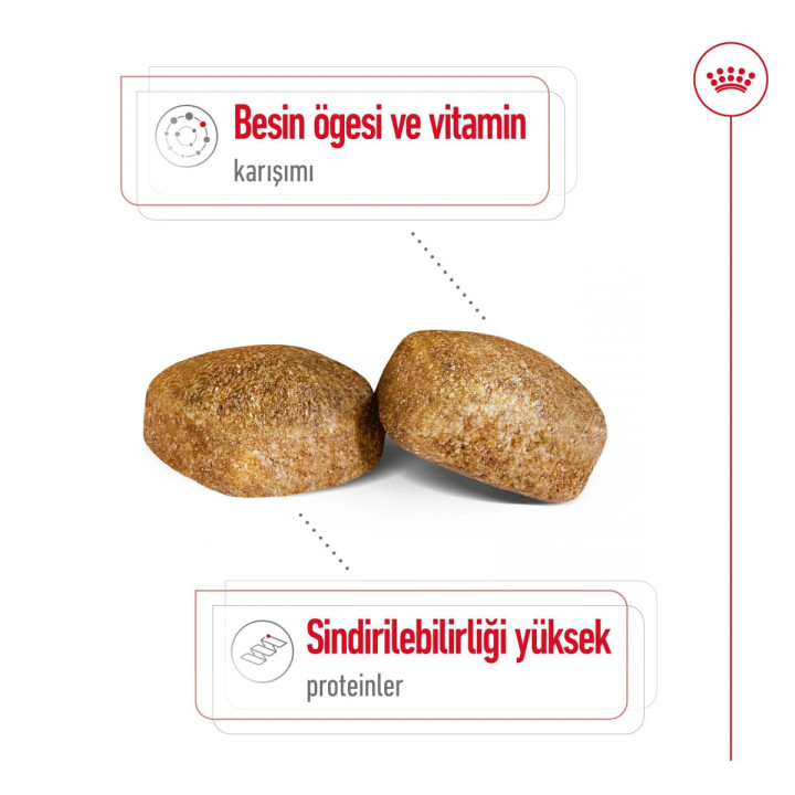 Giant Adult Yetişkin Köpek Kuru Maması 15 kg