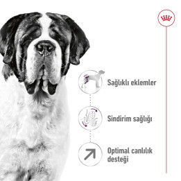 Giant Adult Yetişkin Köpek Kuru Maması 15 kg