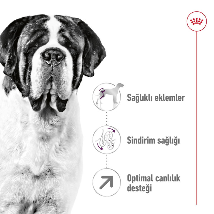 Giant Adult Yetişkin Köpek Kuru Maması 15 kg