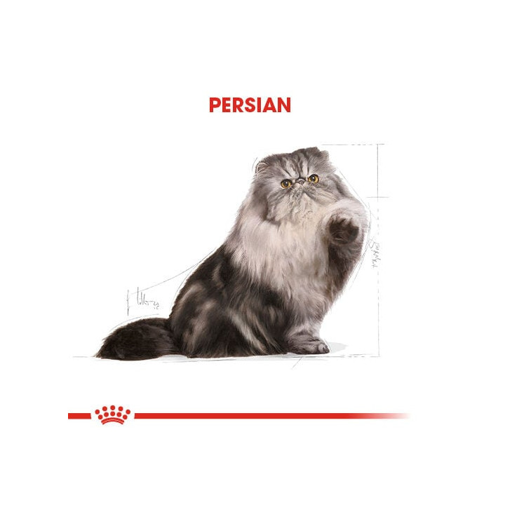 Persian Yetişkin Kedi Kuru Maması 4 kg