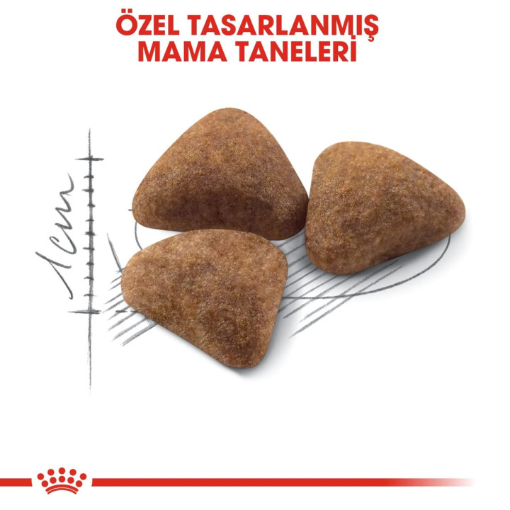 Indoor 27 Yetişkin Kedi Kuru Maması 400 g