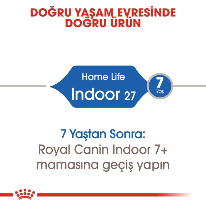Indoor 27 Yetişkin Kedi Kuru Maması 400 g