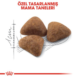 Indoor 27 Yetişkin Kedi Kuru Maması 2 kg
